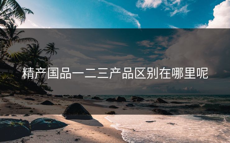 精产国品一二三产品区别在哪里呢