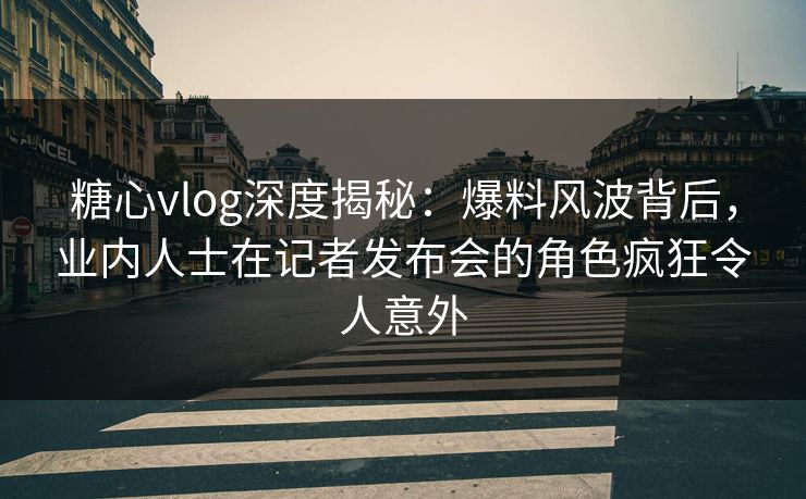 糖心vlog深度揭秘：爆料风波背后，业内人士在记者发布会的角色疯狂令人意外