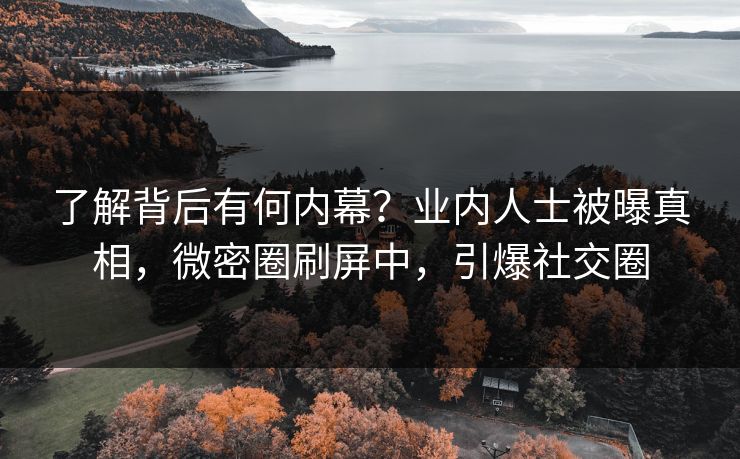 了解背后有何内幕？业内人士被曝真相，微密圈刷屏中，引爆社交圈