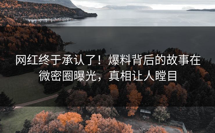 网红终于承认了！爆料背后的故事在微密圈曝光，真相让人瞠目