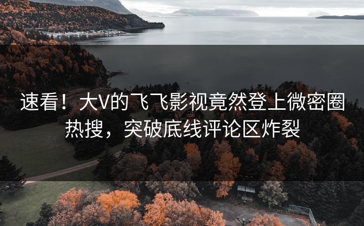 速看！大V的飞飞影视竟然登上微密圈热搜，突破底线评论区炸裂